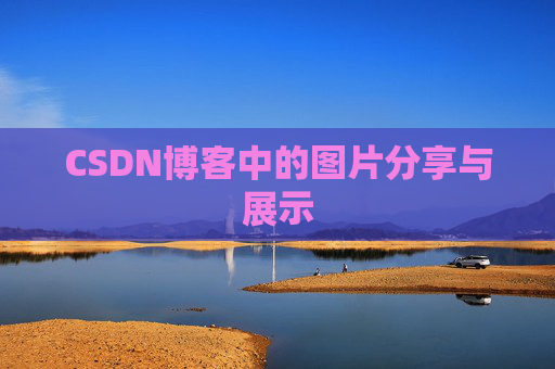 CSDN博客中的图片分享与展示
